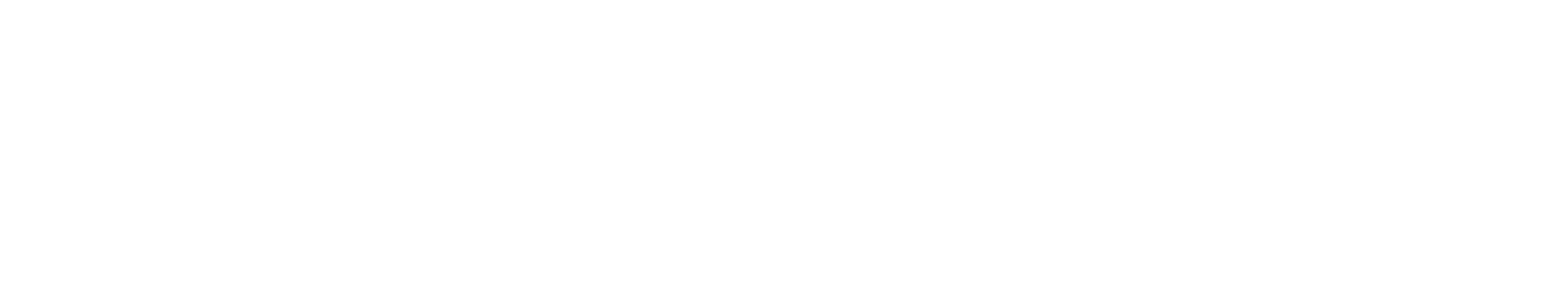 psyport лого